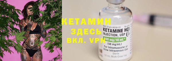 ПСИЛОЦИБИНОВЫЕ ГРИБЫ Горняк