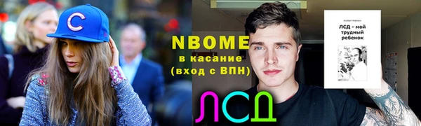 ПСИЛОЦИБИНОВЫЕ ГРИБЫ Горняк