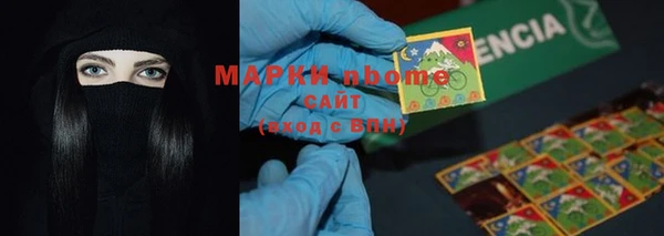 ПСИЛОЦИБИНОВЫЕ ГРИБЫ Горняк