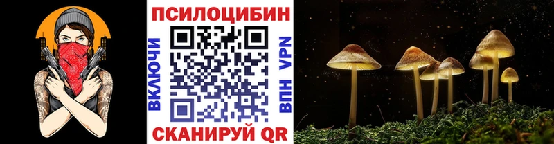 Купить закладки  Кушва  Галлюциногенные грибы GOLDEN TEACHER 